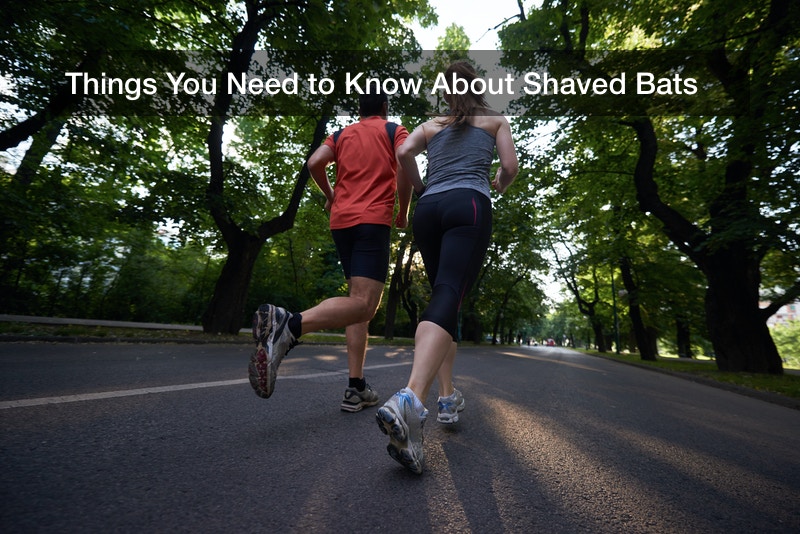 Things You Need to Know About Shaved Bats